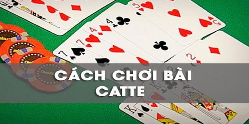 Cách Chơi Bài Catte: Hướng Dẫn Chi Tiết Cho Người Mới Bắt Đầu image-1731646027315