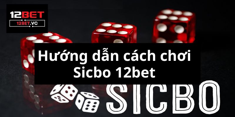 Hướng Dẫn Cách Chơi Sicbo Chi Tiết Nhất Cho Người Mới Bắt Đầu image-1731647639821