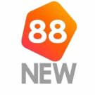 NEW88 – Nhà cái 5 sao hàng đầu Châu Á
