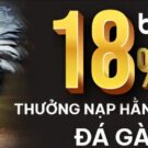 BJ88 – Cổng game cá cược thể thao và casino trực tuyến uy tín